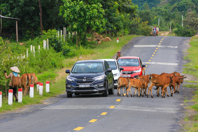 Đi 400 km, Honda Jazz tiêu hao trung bình 4,5L/100km; CR-V "uống" 5,5L/100km