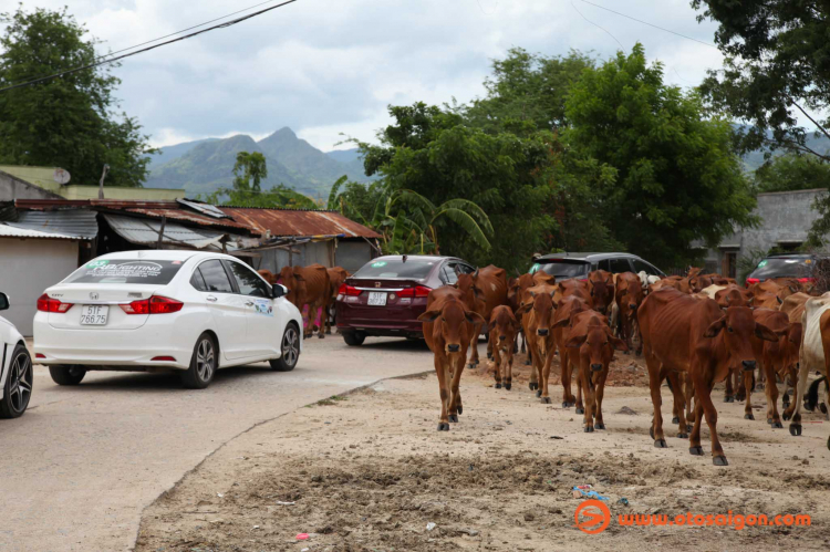 Mitsubishi Fan Club: Caravan ''Vòng Tay Yêu Thương'' lần thứ 7 - Phan Rang 24 - 26/08/2018