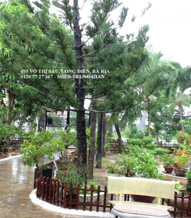 ĐẤT BÀ RỊA - Chính Phủ Phê Duyệt Xây Dựng Cao Tốc Biên Hoà – Vũng Tàu Giai Đoạn 1. ĐẤT BÀ RỊA - Chính Phủ Phê Duyệt Xây Dựng Cao Tốc Biên Hoà – Vũng Tàu Giai Đoạn 1.