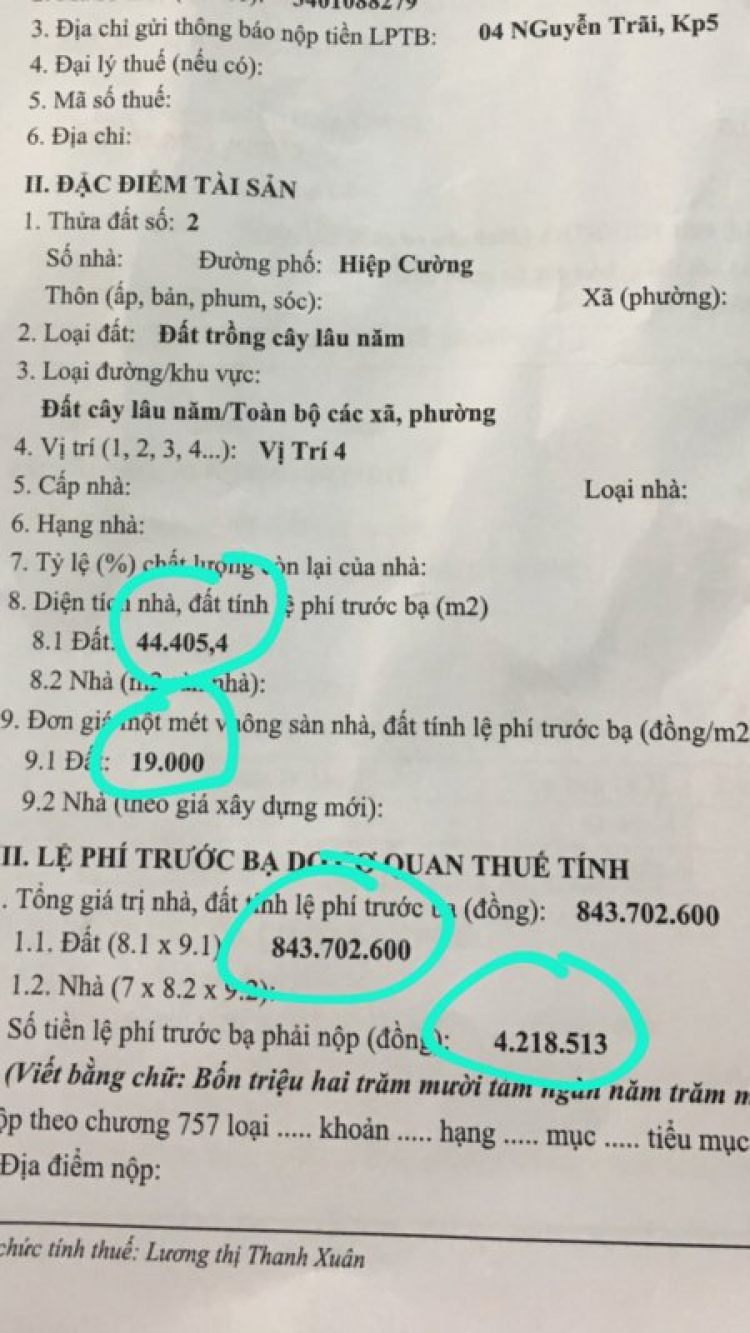 Trồng cây, nuôi cá nghỉ ngơi