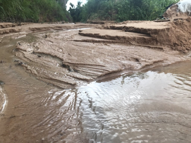 Trồng cây, nuôi cá nghỉ ngơi