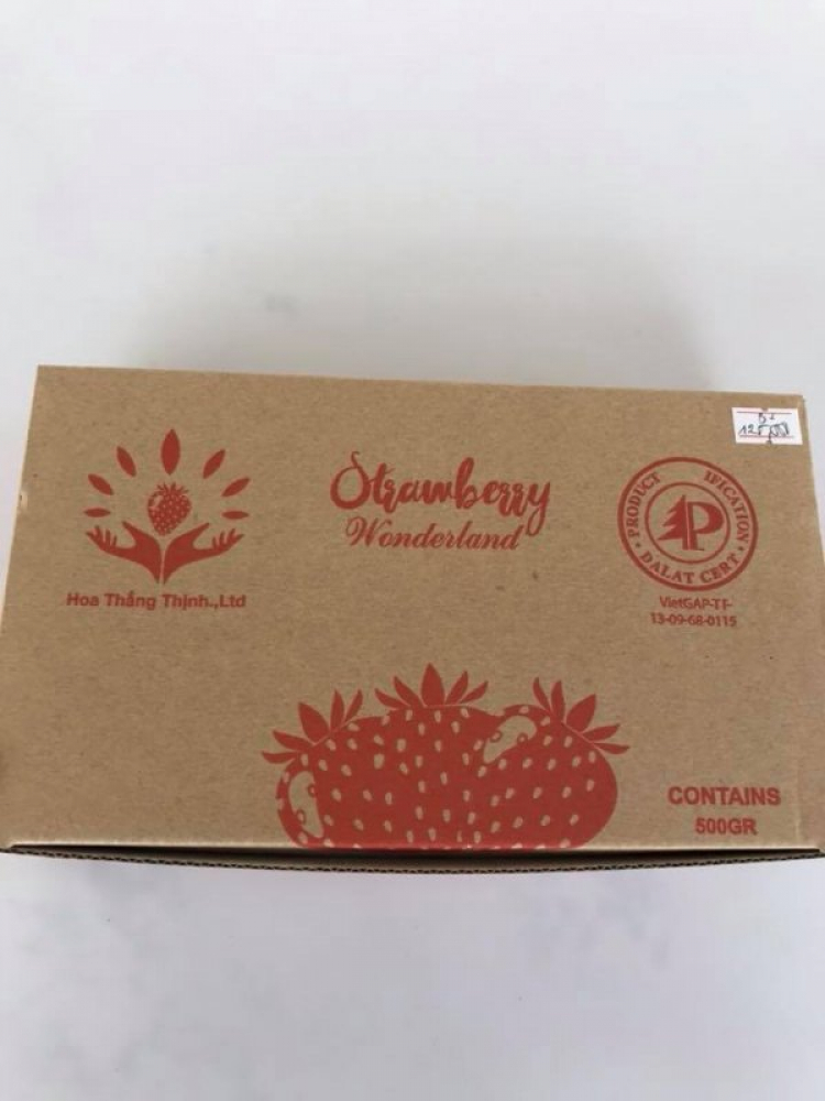 Thông tin về vườn dâu Hoa Thắng Thịnh (Đà Lạt).