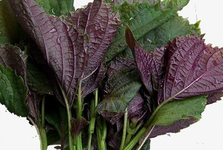 Chia sẻ những sản phẩm tiêu dùng tâm đắc Chia sẻ những sản phẩm tiêu dùng tâm đắc