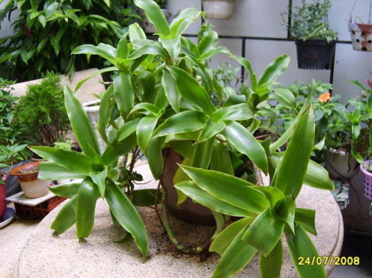 Chia sẻ những sản phẩm tiêu dùng tâm đắc Chia sẻ những sản phẩm tiêu dùng tâm đắc