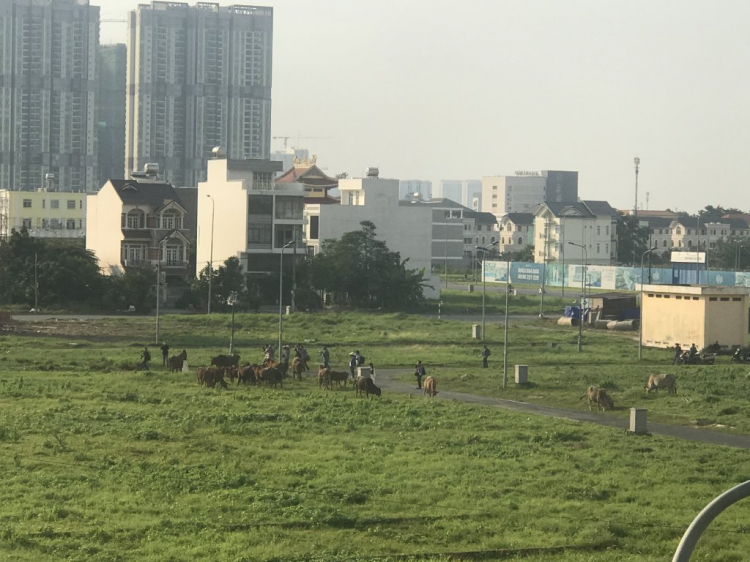 Cập nhật hạ tầng và dự án khu TML