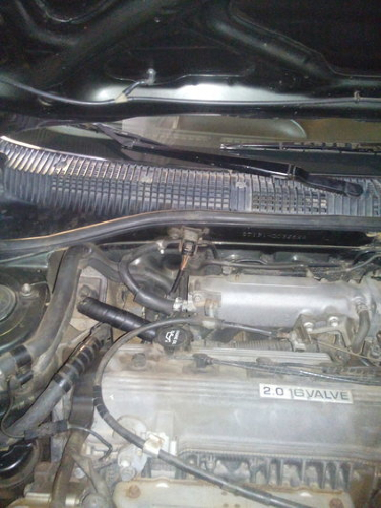 Toyota Corona 1992 - 1996 mắt híp đít bồng (Na béo ) Toyota Corona 1992 - 1996 mắt híp đít bồng (Na béo )
