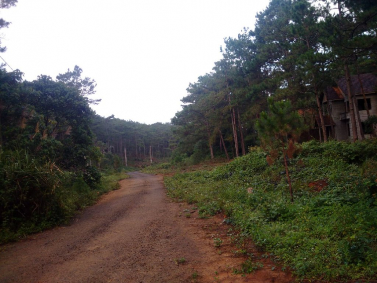 Jolie - Trên những nẻo đường