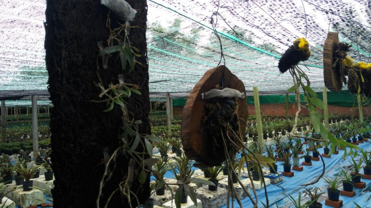 Khởi nghiệp ...Lĩnh vực nông nghiệp Khởi nghiệp ...Lĩnh vực nông nghiệp