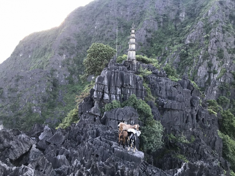 Đi Để Kết Nối Yêu Thương,10/2018