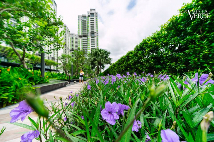 Dự án Feliz En Vista của CapitaLand - Thạnh Mỹ Lợi (đối diện Vista Verde)