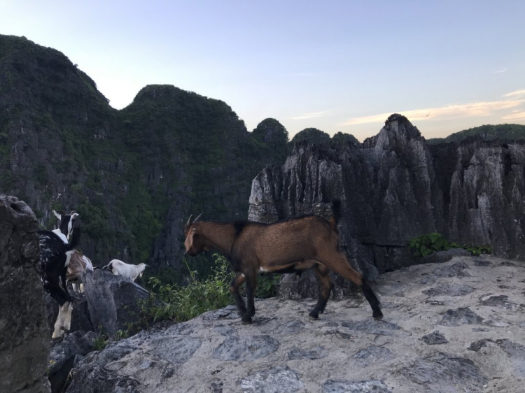 Đi Để Kết Nối Yêu Thương,10/2018