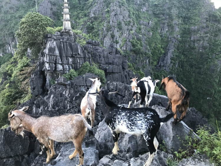 Đi Để Kết Nối Yêu Thương,10/2018