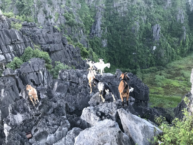 Đi Để Kết Nối Yêu Thương,10/2018