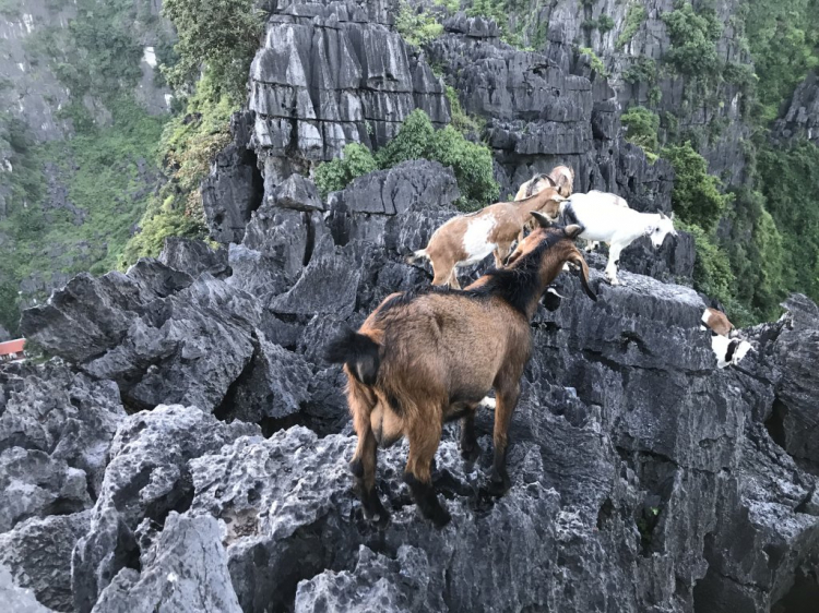 Đi Để Kết Nối Yêu Thương,10/2018