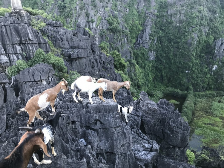 Đi Để Kết Nối Yêu Thương,10/2018
