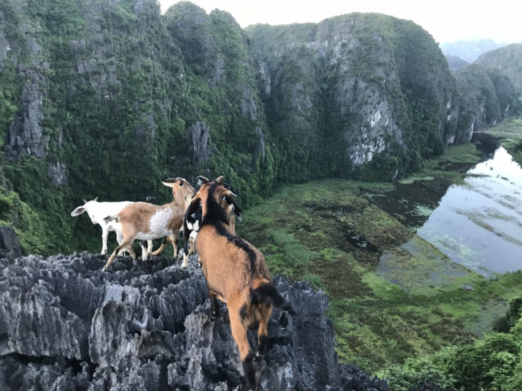 Đi Để Kết Nối Yêu Thương,10/2018
