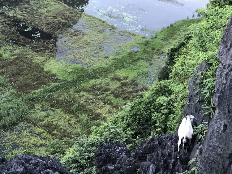 Đi Để Kết Nối Yêu Thương,10/2018