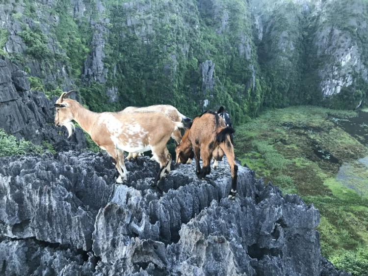 Đi Để Kết Nối Yêu Thương,10/2018