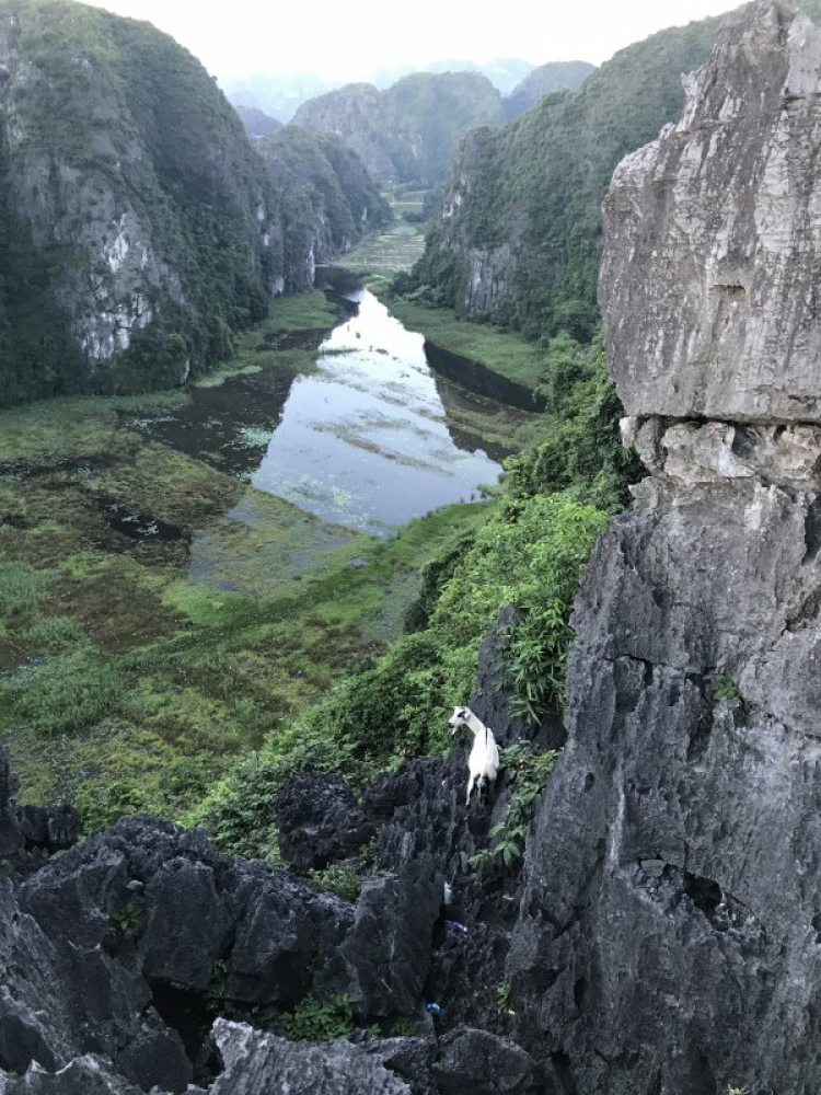 Đi Để Kết Nối Yêu Thương,10/2018