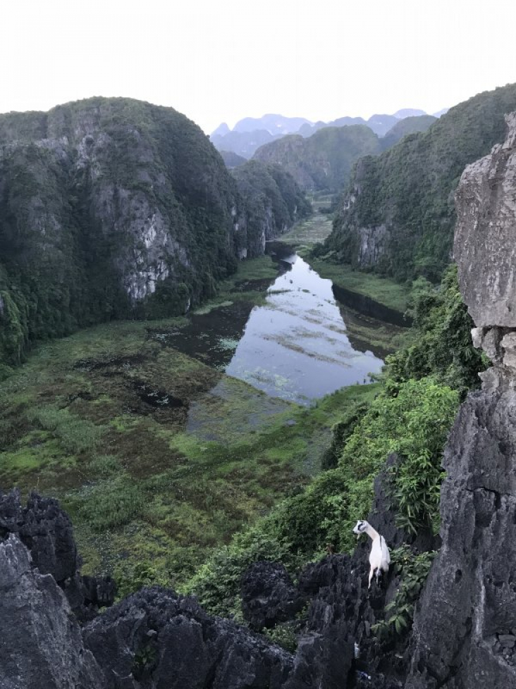 Đi Để Kết Nối Yêu Thương,10/2018