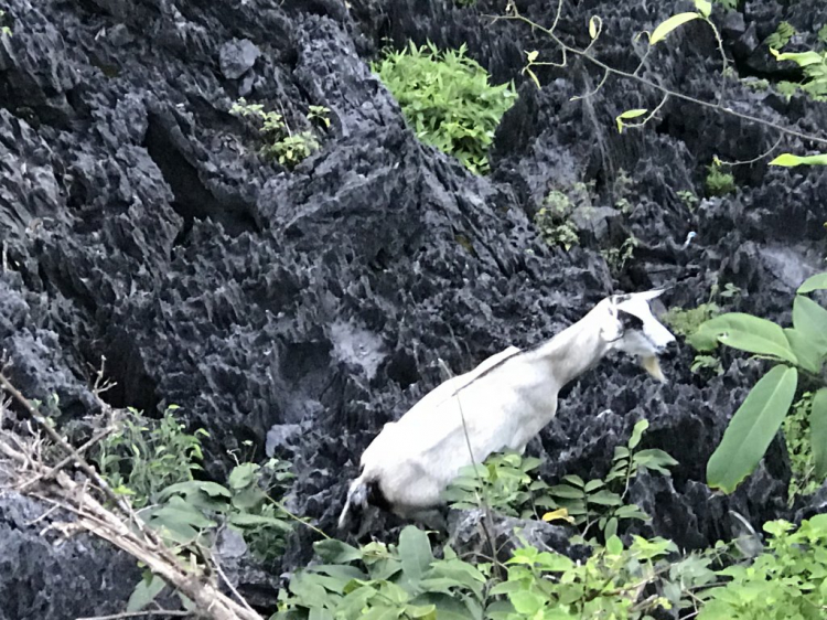 Đi Để Kết Nối Yêu Thương,10/2018