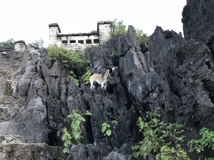 Đi Để Kết Nối Yêu Thương,10/2018