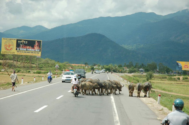 Cuối tuần thư giãn: Hồn nhiên giữa đường.