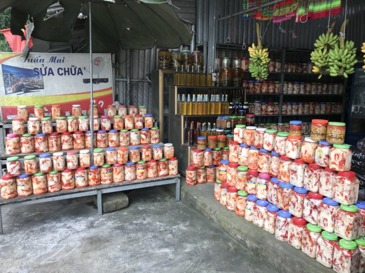 Đi Để Kết Nối Yêu Thương,10/2018 Đi Để Kết Nối Yêu Thương,10/2018