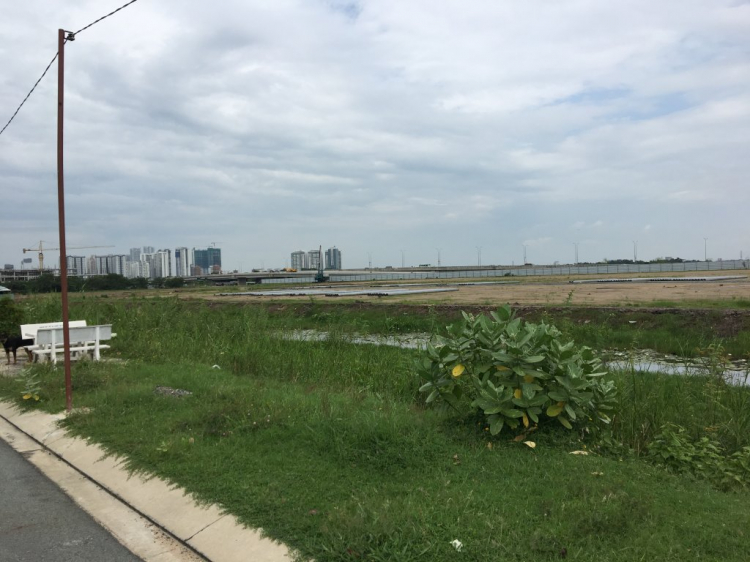Palm City, Q2 Palm City, Q2