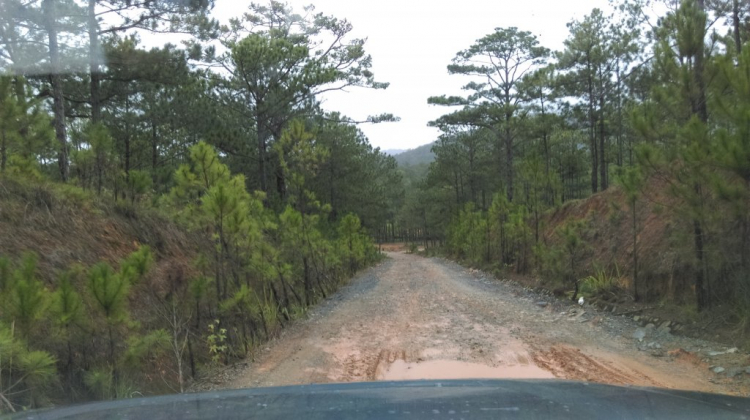 Tổng hợp các thớt về DALAT từ A đến Z Tổng hợp các thớt về DALAT từ A đến Z