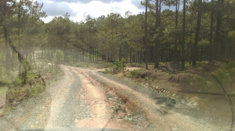 Tổng hợp các thớt về DALAT từ A đến Z Tổng hợp các thớt về DALAT từ A đến Z