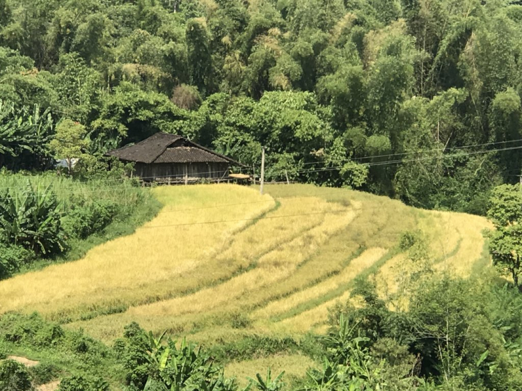 Đi Để Kết Nối Yêu Thương,10/2018