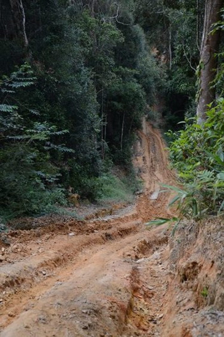 Đèo Đại Ninh, Ngoạn Mục nhờ tư vấn !