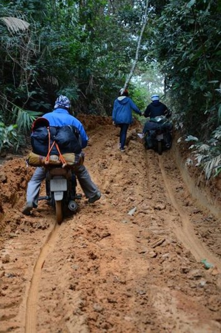 Đèo Đại Ninh, Ngoạn Mục nhờ tư vấn !