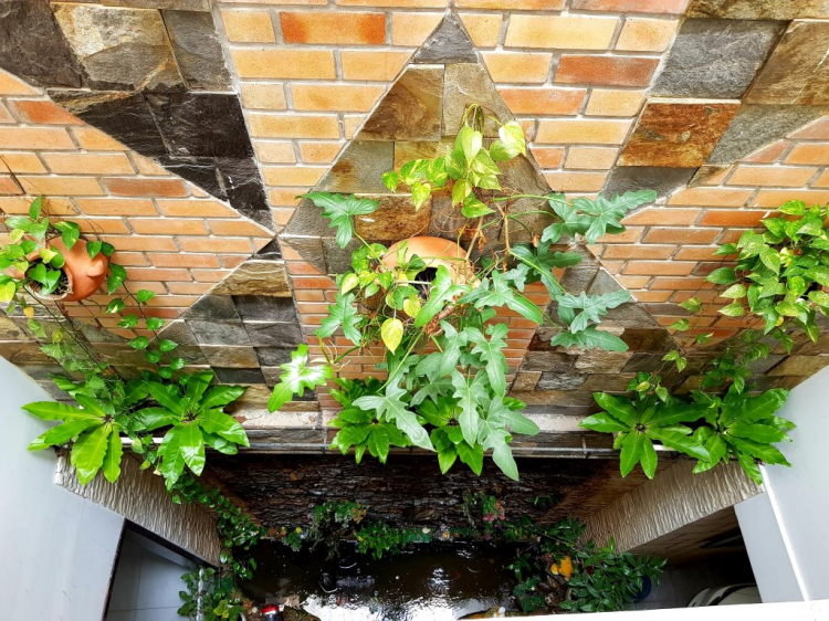 Hỏi mấy anh xây dựng về giếng trời thông minh Hỏi mấy anh xây dựng về giếng trời thông minh