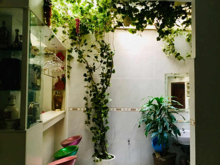 Hỏi mấy anh xây dựng về giếng trời thông minh Hỏi mấy anh xây dựng về giếng trời thông minh