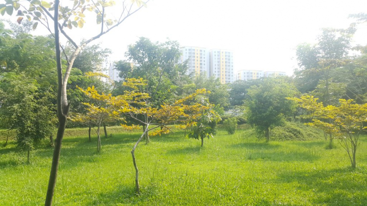 Akari Nam Long - hàng nhiều vậy Akari Nam Long - hàng nhiều vậy
