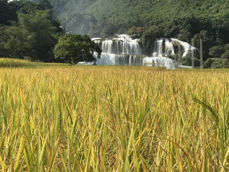 Đi Để Kết Nối Yêu Thương,10/2018