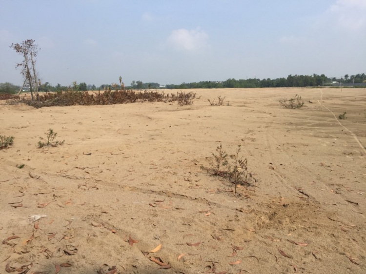 Em nghe nói cuối năm VinCity Quận 7 mở bán ??? Em nghe nói cuối năm VinCity Quận 7 mở bán ???
