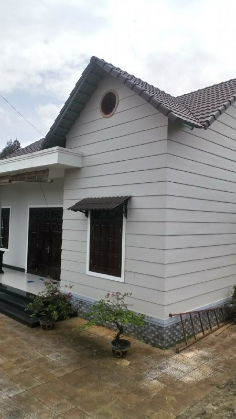Ăn gì, chơi gì ở Bảo Lộc, Di Linh, Đức Trọng, Đơn Dương Ăn gì, chơi gì ở Bảo Lộc, Di Linh, Đức Trọng, Đơn Dương