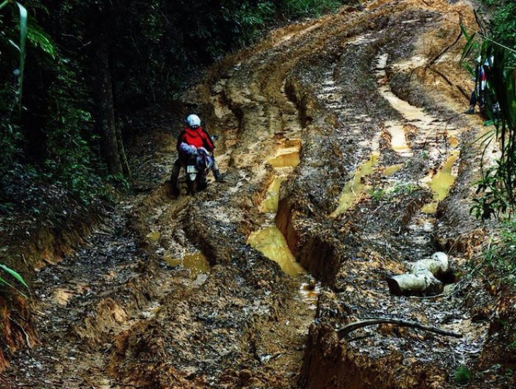 Đèo Đại Ninh, Ngoạn Mục nhờ tư vấn ! Đèo Đại Ninh, Ngoạn Mục nhờ tư vấn !