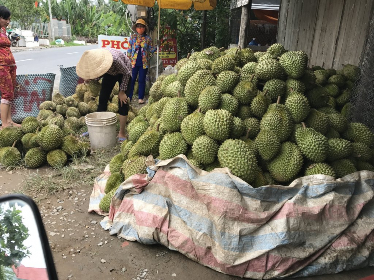 Jolie - Chiếc xe thân thiện