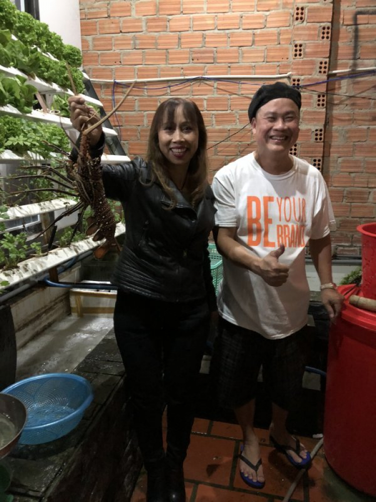 Tổng hợp các thớt về DALAT từ A đến Z Tổng hợp các thớt về DALAT từ A đến Z