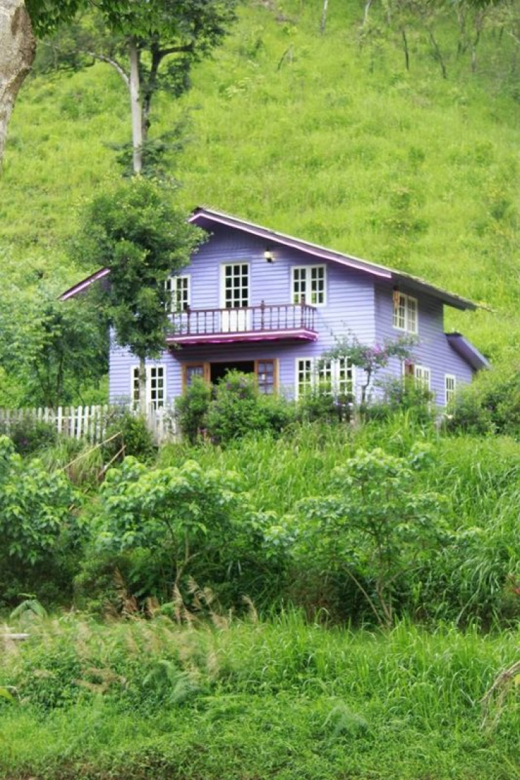 Đằng sau tay lái - ấn tượng những cung đường đẹp ở Việt Nam Đằng sau tay lái - ấn tượng những cung đường đẹp ở Việt Nam
