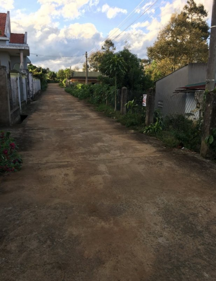 Đất làm Homestay ở Bảo Lộc Đất làm Homestay ở Bảo Lộc