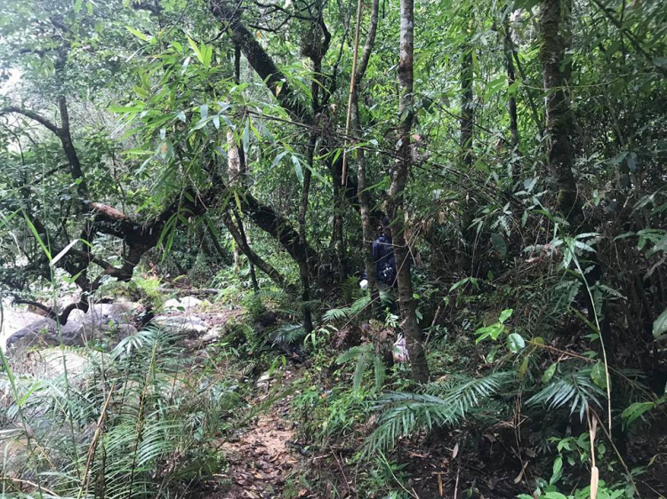 [TƯỜNG THUẬT] LAAN-Challenge The Mountain 2018