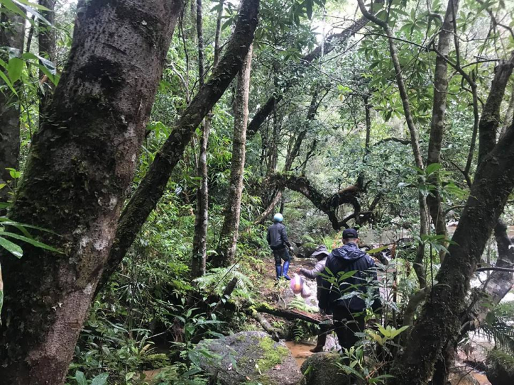 [TƯỜNG THUẬT] LAAN-Challenge The Mountain 2018