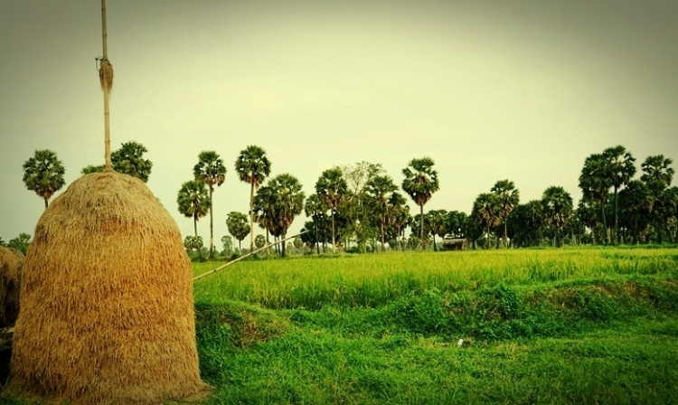 Chúc mừng ngày vui thành viên FIFC, Bac Trọng.