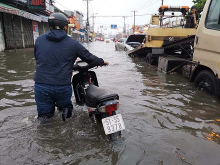 otosaigon_BÃO -3.jpg