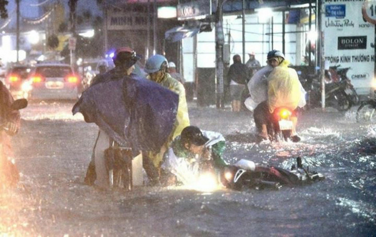 [Hình ảnh] Tổng hợp ảnh hưởng của bão Usagi đổ bộ vào TP. HCM
